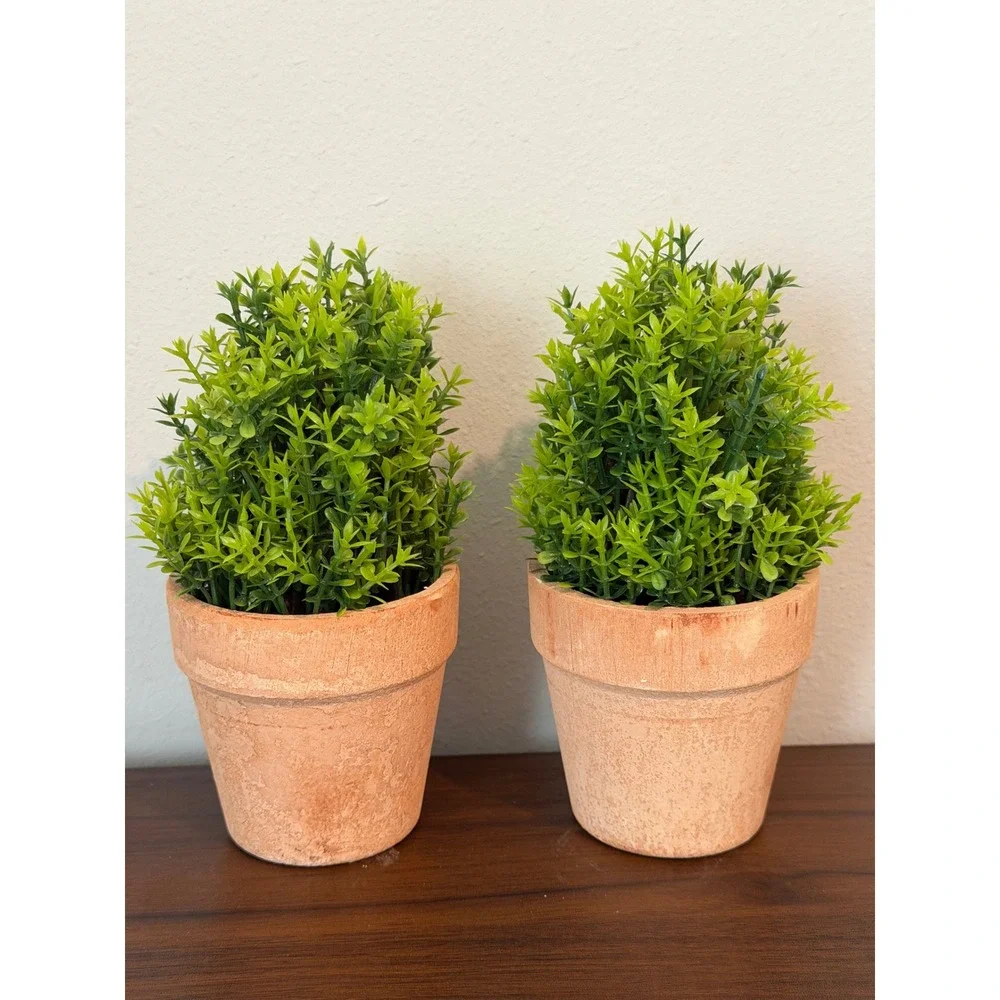 Set of 2 Artificial Boxwood Topiary Plants in Rustic Terracotta Pots 6 Inch